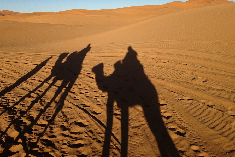 3 days Marrakech to Fes best desert experience